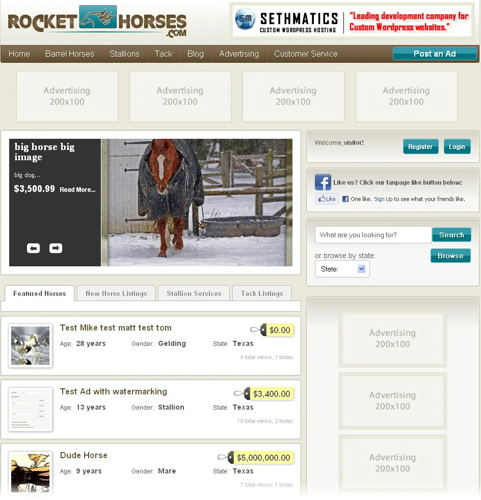 rocket-horses-lrg