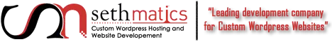 Sethmatics — Custom WordPress Hosting and Website Development