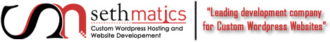 Sethmatics - Custom WordPress Hosting and Website Development